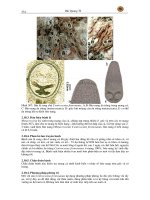 Bệnh học thủy sản tập 3 - Bệnh ký sinh trùng part 7 pdf