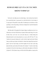 ĐÁNH GIÁ HIỆU LỰC CỦA CÁC TÁC NHÂN KHÁNG VI SINH VẬT pot