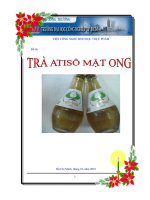 Đề tài Trà atisô mật ong