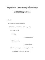 Trực khuẩn Gram dương hiếu khí hoặc kỵ khí không bắt buộc pps