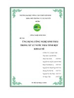 Ứng dụng công nghệ sinh thái trong xử lý nước thải tinh bột khoai mì