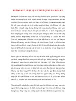 ĐƯỜNG SẮT, LUẬT LỆ VÀ THUẾ QUAN TẠI HOA KỲ pps