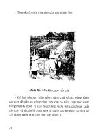 Kỹ thuật vườn ươm cây rừng ở hộ gia đình part 3 pot