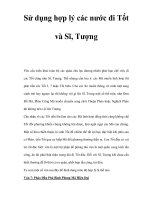 Sử dụng hợp lý các nước đi Tốt và Sĩ, Tượng pptx