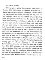 Bệnh thường gặp ở cá trắm cỏ và biện pháp phòng trị part 10 pot