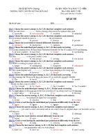 Trường THPT chuyên Huỳnh Mẫn Đạt - đề thi anh văn 11 căn bản (đề số 394) pps