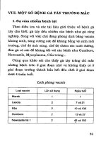 Chăn nuôi gà thả vườn và gà tây part 9 ppt