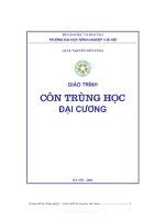 Giáo trình - Côn trùng học đại cương -chương 1 docx