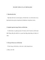 TỔ CHỨC SỐNG CỦA CƠ THỂ ĐA BÀO pps