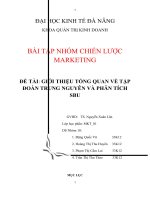 Tiểu luận: Giới thiệu tổng quan về tập đoàn Trung Nguyên và phân tích SBU pot