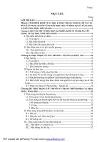 Đánh giá hiệu quả sản xuất nghề lưới vây xa bờ có sử dụng nguồn sáng kết hợp chà cố định tại xã tân long, thành phố mỹ tho, tỉnh tiền giang