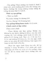 Hiệu quả kinh tế từ trồng rừng part 3 ppsx