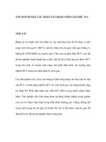 VÉN MÀN BÍ MẬT TÁC NHÂN GÂY BỆNH VIÊM GAN SIÊU VI C potx