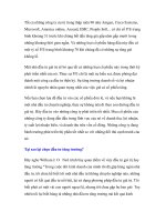 Giáo trình sự hình thành của thị trường chứng khoán trong những ngày đầu phát triển p9 potx