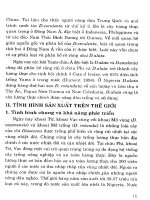 Cây có củ và kỹ thuật thâm canh - Khoai từ -Vạc part 2 doc