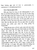 Bệnh thường gặp ở cá trắm cỏ và biện pháp phòng trị part 8 pps