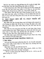 Cây có củ và kỹ thuật thâm canh (Cây sắn) part 4 ppsx