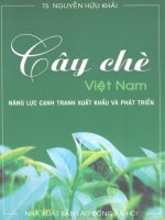 Cây chè năng lực cạnh tranh xuất khẩu và phát triển part 1 pdf