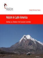 holcim in latin america andreas leu member of the executive committee 2012 holicim ltd