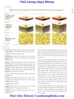 nhũ tương nhựa Bitum - Đại cương và ứng dụng phần 7 pps