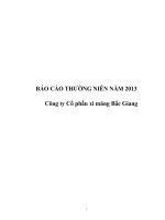 báo cáo thường niên năm 2013 công ty cổ phần xi măng bắc giang