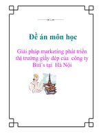 Đề án môn học: Giải pháp marketing phát triển thị trường giầy dép của công ty Biti’s tại Hà Nội potx