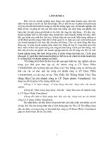 tìm hiểu hệ thống kênh tiêu thụ hàng hóa của chi nhánh công ty cp dược phẩm vimedimed