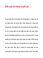 Đột qụy do tăng huyết áp ppsx