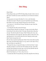 Những Tấm Gương Xưa - Đức Dũng - Dũng là Mạnh ppt