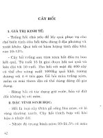 Hiệu quả kinh tế từ trồng rừng part 5 ppt