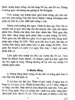 450 Giống cây trồng mới năng suất cao tập 2 part 9 pot