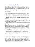 Ý Nghĩa Của Màu Sắc pot