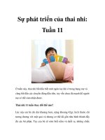 Sự phát triển của thai nhi: Tuần 11 docx