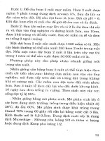 Cây sắn từ cây lương thực chuyển thành cây công nghiệp part 6 pptx