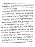 Cẩm nang kỹ thuật nhân giống cây tập 2 part 4 ppt