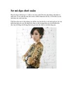 Sơ mi dạo chơi xuân pps