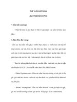 LỚP NẤM BẤT TOÀN (DEUTEROMYCETES) docx