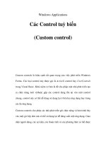 Windows Applications Các Control tuỳ biến (Custom control) doc