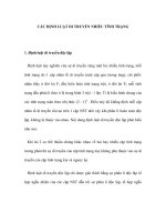 CÁC ĐỊNH LUẬT DI TRUYỀN NHIỀU TÍNH TRẠNG pps