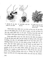 Cẩm nang kỹ thuật nhân giống cây part 10 pdf