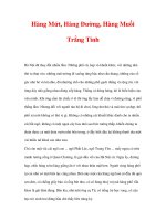 Hà Nội Ba Mươi Sáu Phố Phường - Hàng Mứt, Hàng Đường, Hàng Muối Trắng Tinh pdf