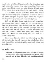 Hỏi đáp về trồng, chăm sóc Ngô, Khoai, Sắn part 6 docx