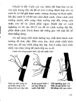 Cẩm nang kỹ thuật nhân giống cây tập 2 part 3 pptx