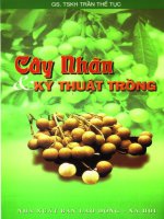 Cây nhãn và kỹ thuật trồng part 1 ppsx