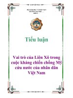 Tiểu luận: Vai trò của Liên Xô trong cuộc kháng chiến chống Mỹ cứu nước của nhân dân Việt Nam pdf