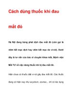 Cách dùng thuốc khi đau mắt đỏ pdf