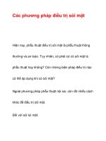 Các phương pháp điều trị sỏi mật ppt