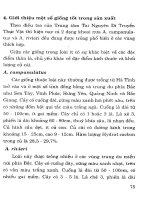 Cây có củ và kỹ thuật thâm canh - Tập 6 part 7 ppt