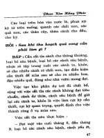 Hỏi đáp kỹ thuật trồng nhãn da bò và điều đạt năng suất cao part 4 ppt