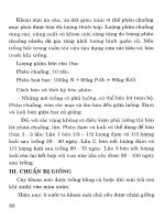 Cây có củ và kỹ thuật thâm canh - Tập 6 part 8 pdf